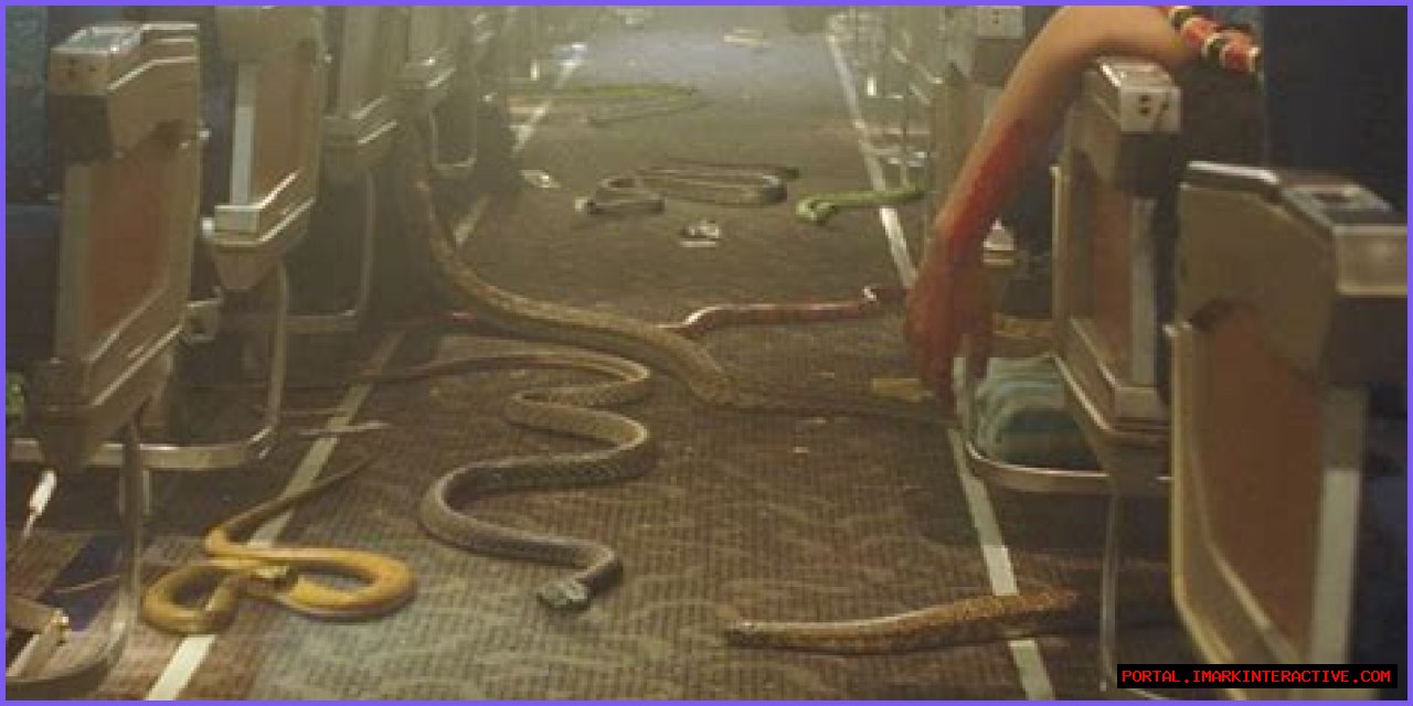 Is 'Plane' Rooted In Reality?